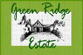 Green Ridge Estate - Demeter Extra Virgin Olive Oil